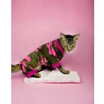 Pinky Camouflage Penye Tulum Kedi Tulumu Kedi Elbisesi