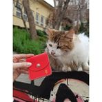 Pinkylola Design Pinkylola Design-Kare Model E Harfi Kırmızı Deri Gold Harf Detaylı Mini Bozuk Para Cüzdanı