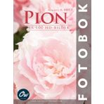 Pion: Över 100 HD-bilder