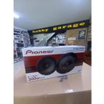 Pioneer Ts-m1610pro 16cm Midrange Hoparlör