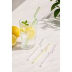 Pipet Renkli Burgulu Cam Seti