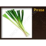 Pırasa Tohumu 10 gr