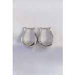 Pirinç Gümüş Renk İçi Boş Gül Küpe - EBJ240601W24752