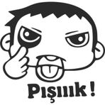 Pışık Oto Yapıştırma Araba Sticker