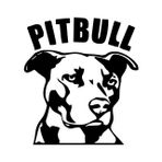 Pitbull Sticker Yapıştırma 17cm