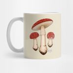 Pixxa Amanita Muscaria Kupa Bardak