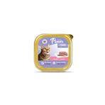 Plaisir Adult Somonlu Yetişkin Kedi Maması 100 Gr