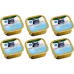 Plaisir Pate Ton Balıklı Kedi Yaş Konserve Maması 100 gr 6 Adet