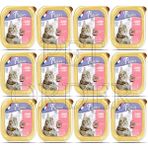 Plaisir Somon Balıklı Yetişkin Kedi 12x100 gr Yaş Mama