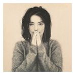 Plak Dolabı Björk – Debut (LP) Plak (Sıfır - Kapalı Ambalaj)