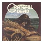 Plak Dolabı Grateful Dead – Wake Of The Flood (LP) Plak (Sıfır - Kapalı Ambalaj)