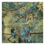 Plak Dolabı Paul McCartney And Wings – Wild Life (LP) Plak (Sıfır - Kapalı Ambalaj)