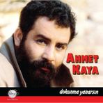 Plak İstasyonu Ahmet Kaya Dokunma Yanarsın Lp Plak