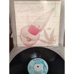 Plakperest The Chariot Riders - Sensimilla Dub - 1980 Jamaica Basım Lp Plak Albüm 2.el