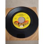 Plakperest The Shocking Blue – Venus - 1969 Usa Basım 45 Lik Plak