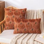 Plancholo Fall Pumpkin Dekoratif Kırlent Kılıfı 2'li Set Yumuşak Peluş Suni Kürk Yün Yastık Kılıfı Kanepe Kanepe için (Karamel Yeşili, 12x20 inç)