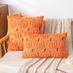 Plancholo Fall Pumpkin Dekoratif Kırlent Kılıfı 2'li Set Yumuşak Peluş Suni Kürk Yün Yastık Kılıfı Kanepe Kanepe için (Turuncu-Kahverengi, 50 x 50 cm)
