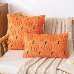 Plancholo Fall Pumpkin Dekoratif Kırlent Kılıfı 2'li Set Yumuşak Peluş Suni Kürk Yün Yastık Kılıfı Kanepe Kanepe için (Turuncu-Yeşil, 45 x 45 cm)