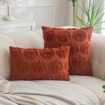 Plancholo Fall Pumpkin Dekoratif Kırlent Kılıfı 2'li Set Yumuşak Peluş Suni Kürk Yün Yastık Kılıfları Kanepe Kanepe için (Pas, 50 x 50 cm)