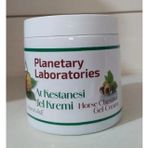 Planetary Laboratories At Kestanesi Jel Kremi 500 Ml