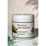 Planetary Laboratories At Kestanesi Masaj Jel Krem Vitamin A&E, Ferahlatıcı Yoğun Bakım ve Nem Desteği 500ml