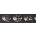PlanetWaves 50AL01 50 mm Alchemy Str Muted Skull Gitar Askısı