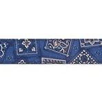 PlanetWaves 50G03 Dokuma 50 mm Bandana Gitar Askısı