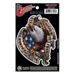 PlanetWaves GT77016 Freedom Eagle Gitar Stickerı