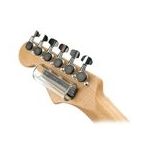 PlanetWaves PWGS-DSL Büyük Cam Gitar Slide