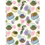 Plant Bliss – 8.25 x 11 Hardcover Planner: Succulent & Terrarium Design
