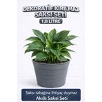 plant-home 2’li Saksı Seti | 15 Pot Yarı Şeffaf Üretim Saksısı + 1,8 L Gri Dekoratif Kırılmaz Dış Saksı