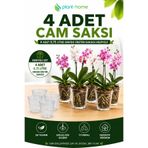 plant-home 4 Adet Cam Orkide Saksısı Seti | Şeffaf Dekoratif Cam Saksı + 4 Adet 0,75 Litre Orkide Üretim Saksısı Hediyeli