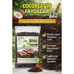 Plant Home Power Mix 5L Bitki Toprağı | Cocpeat, Torf ve Perlit Karışımlı – Böcek Yapmayan Özel Karışım - opsionel