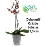 Plant Home Power Mix Beyaz Dekoratif Orkide Saksısı - 12 Lik Üretim Saksısına Uygun Kaliteli Ürün