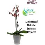 Plant Home Power Mix Dekoratif Şefaf Orkide Saksısı - A Adet Set Fiyatlı -12 Pot Üretim Saksısına Uygun Kaliteli Ürün