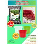 Plant Home Power Mix Kapya Biber Yetiştirme Seti – Kapya Biber Tohumu + Karışımlı Fide Toprağı + 3’lü Drenajlı Saksı