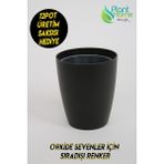 Plant Home Power Mix Orkide Saksısı Siyah Dekoratif Dış Saksı 1 Adet- 12 Pot Şeffaf Orkide Üretim Saksısı Hediyeli