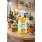 Plant Home Power Mix Plant Home Kaktüs Bitki Besini 500 ml – Kaktüs ve Sukkulentler İçin Özel Sıvı Besin