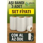 plant-home Şeffaf Silikon Aşı Bandı 3’lü Set – Hızlı İyileştirme Bandı