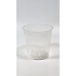 Plant Momzie 11 cm Şeffaf Saksı
