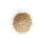 Plantistanbul 4 Karışım Refuge Çim Tohumu 1 kg (Susuzluğa Dayanıklı)