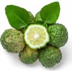 Plantistanbul Citrus Aurantium Bergamia Bergamut Fidanı Bergamot Saksıda