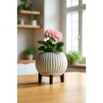 Plastik Dekoratif Mini Saksı