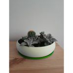 Plastobe Aranjman Boğum Saksı 18 cm (Bioplastik) - Yeşil