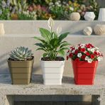 Plastobe Tricolore Saksı Seti 3'lü 12CM (Yeşil-Beyaz-Kırmızı) - Çok Renkli