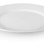 Plastport 21 cm Kırılmaz Düz Tabak