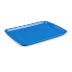 Plastport Servis Tepsisi 37x48 cm - Mavi - 12 Adet