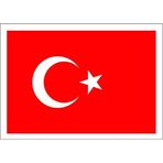 Platin Türk Bayrağı Sticker A-4 10 Lu S0033