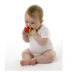 Playgro Karpuz Sulu Dişlik