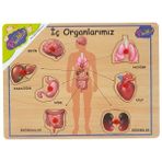 Playwood Ahşap Tutmalı Eğitici Puzzle İç Organlarımız Ony167